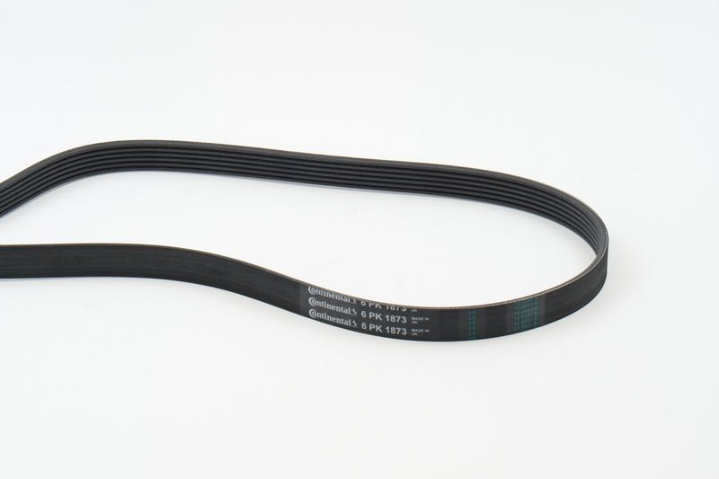 CONTINENTAL CTAM 6PK1873 V-Ribbed Belt