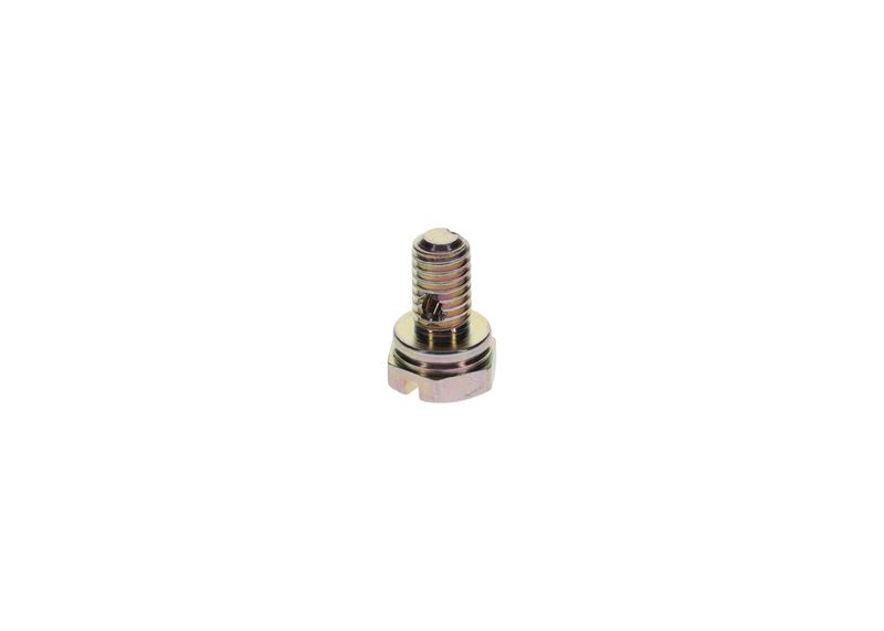 Surub 1 413 453 025 BOSCH