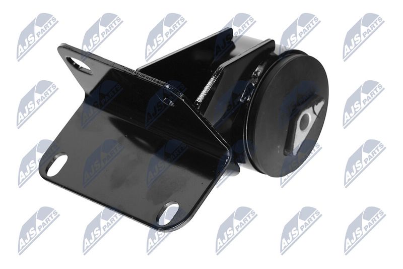 Paigutus, Mootor, NTY ZPS-CH-036