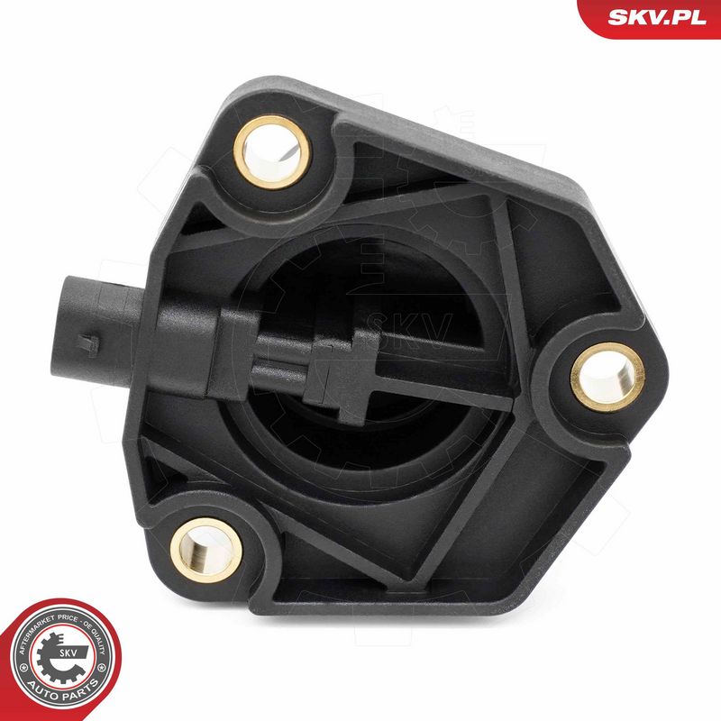 Andur, Mootoriõlitase, ESEN SKV 17SKV930