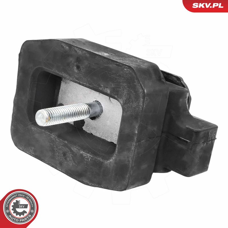 Paigutus, käigukast, ESEN...