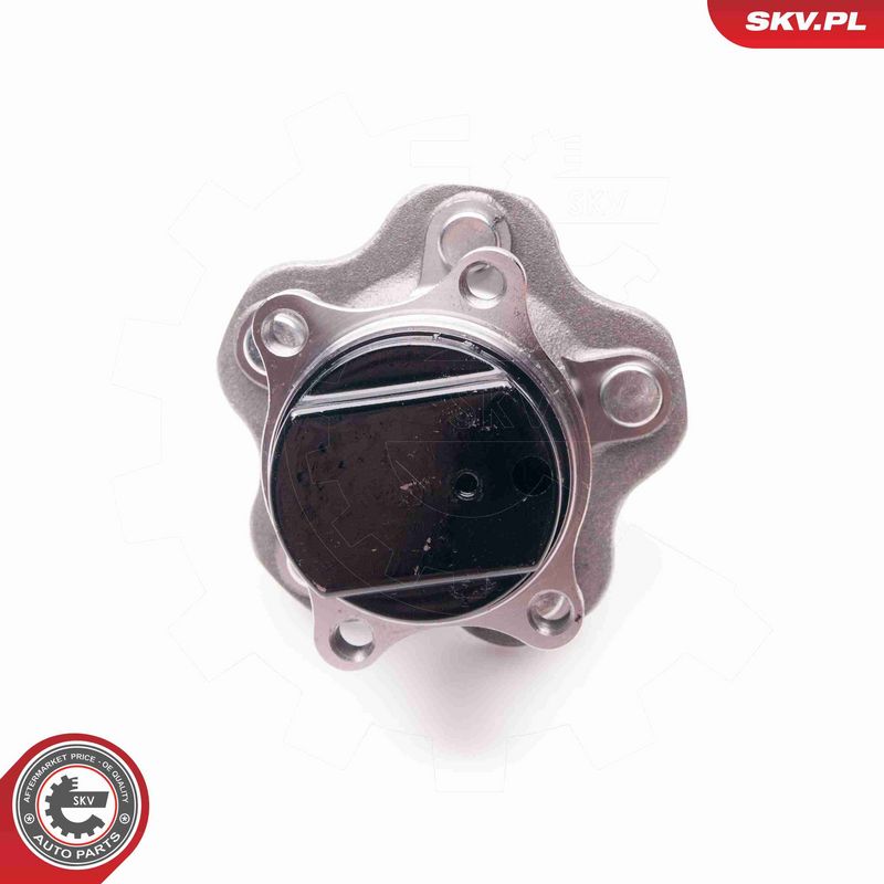 ESEN SKV 29SKV031 Wheel Bearing Kit