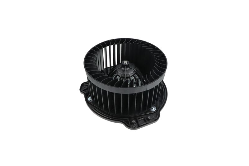 Salongipuhur, NRF 34136