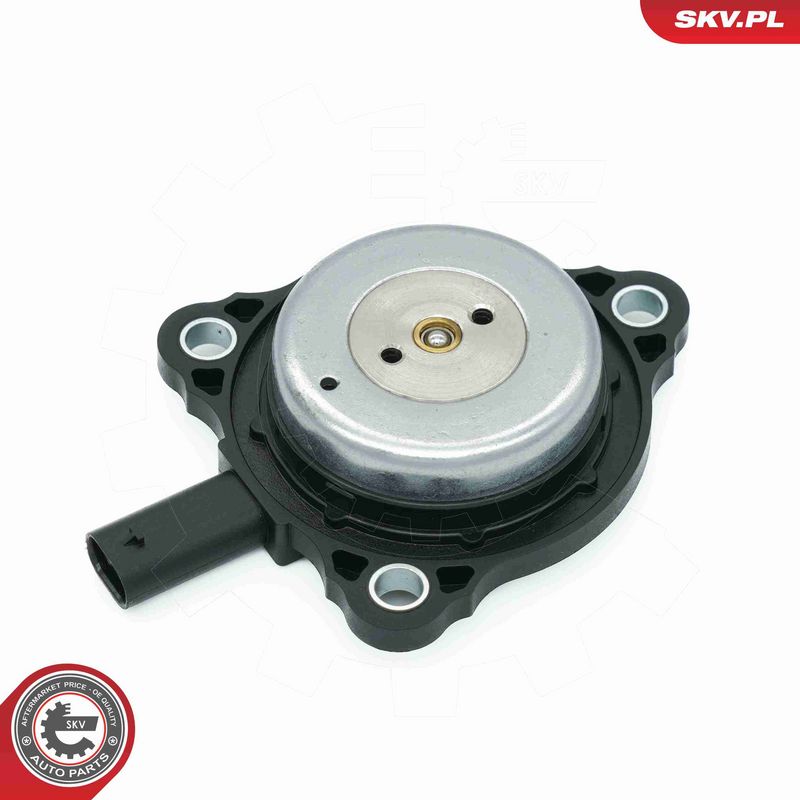 ESEN SKV 39SKV905 Central Magnet, camshaft adjustment