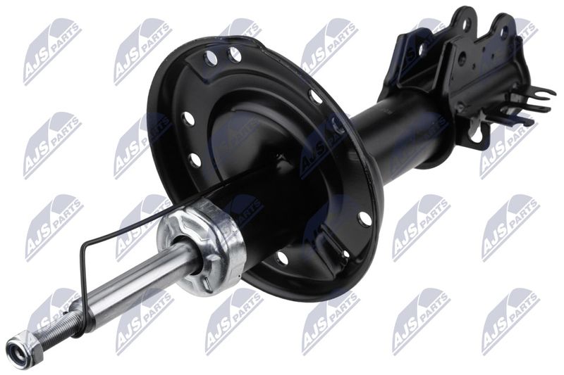 A-FT-002_1-WM.JPG