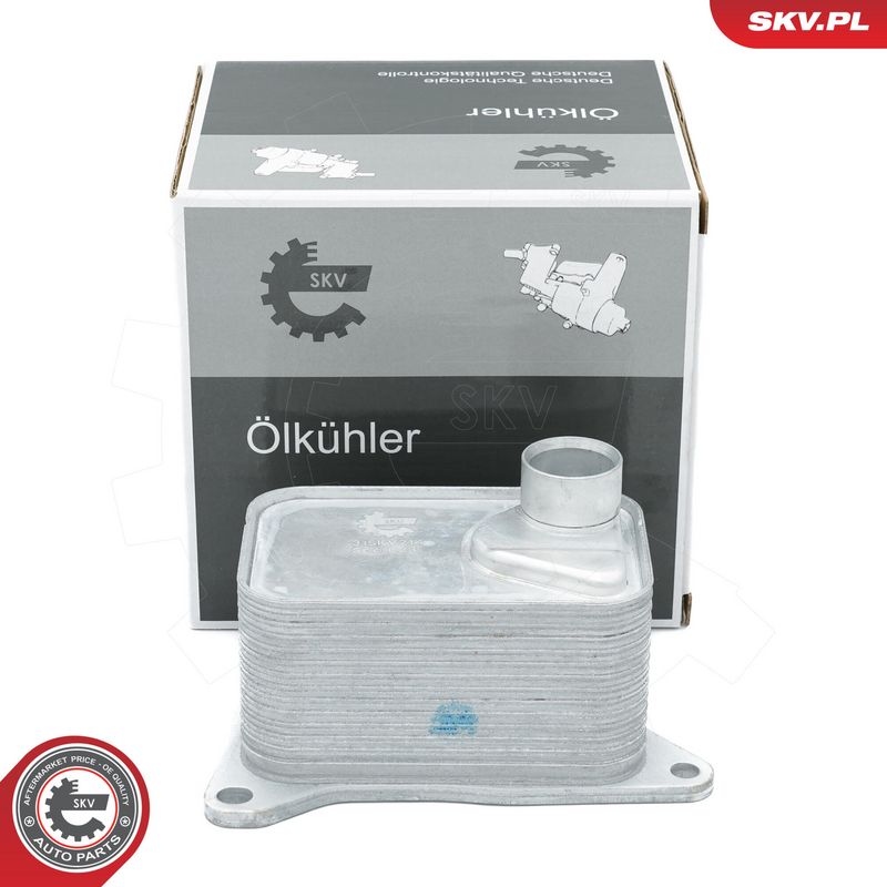 Prekės atitinka OEM kodą: 06L 117 021G