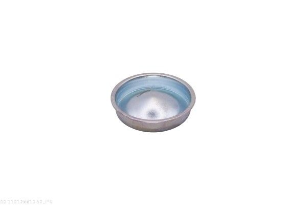 AUTOMEGA 110128810 Cap, wheel bearing