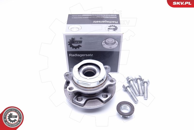 ESEN SKV 29SKV256 Wheel Bearing Kit