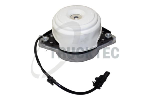 TRUCKTEC AUTOMOTIVE Variklio montavimas