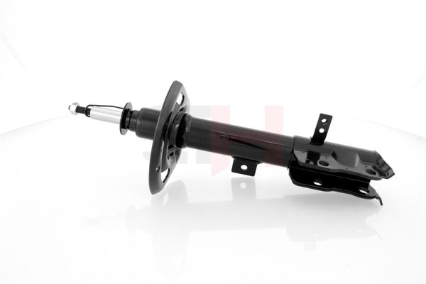 Amort, GH GH-359333H