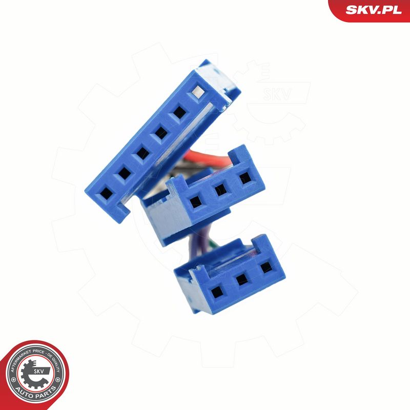 Käigukanginupp, ESEN SKV 63SKV202