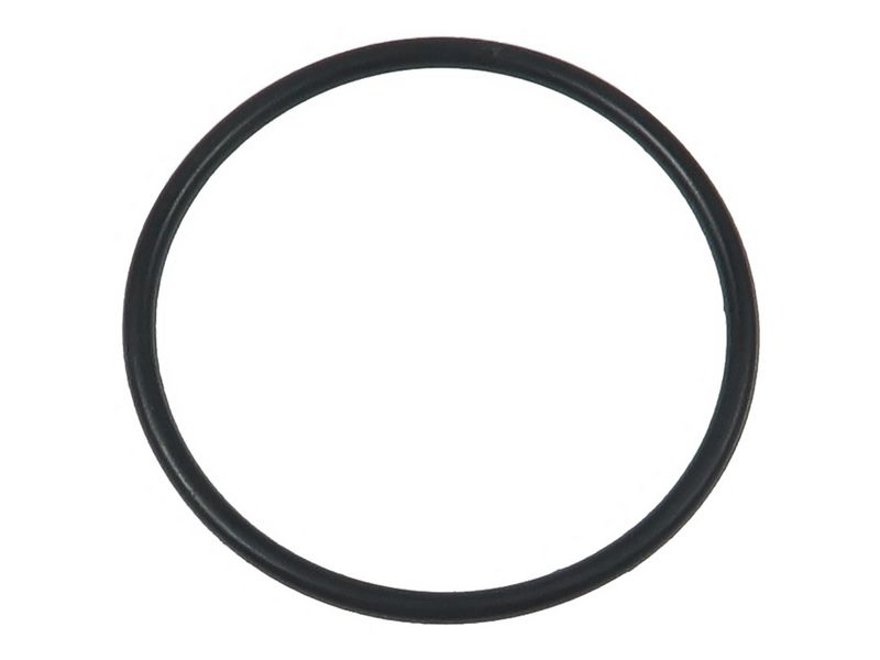 Brand new AS-PL Starter motor o-ring
