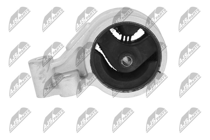 Paigutus, Mootor, NTY ZPS-KA-312