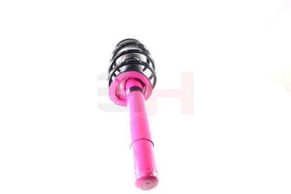 GH GH-351581C01 Suspension Strut