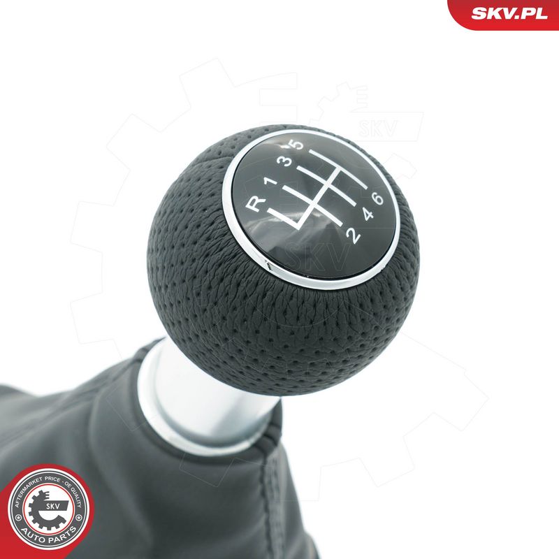 Käigukanginupp, ESEN SKV 63SKV401