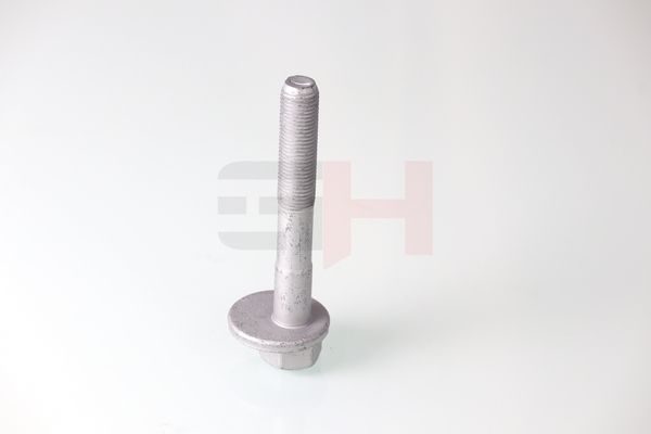 GH GH-399901 Camber Correction Screw