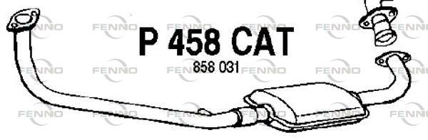 P458CAT.JPG