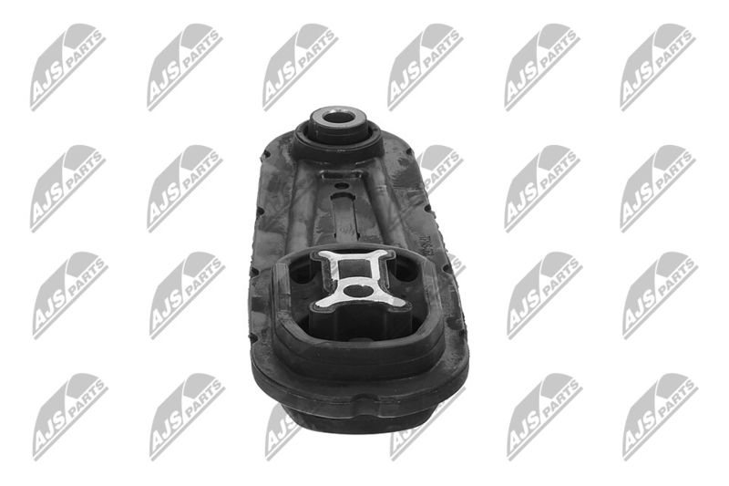 Paigutus, Mootor, NTY ZPS-NS-063