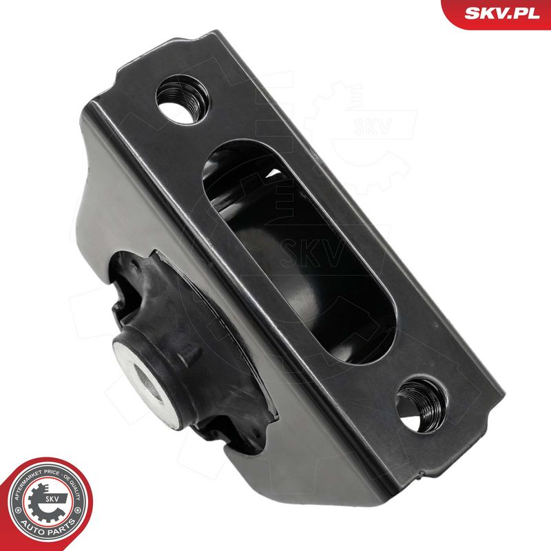 Paigutus, Mootor, ESEN SKV 75SKV309