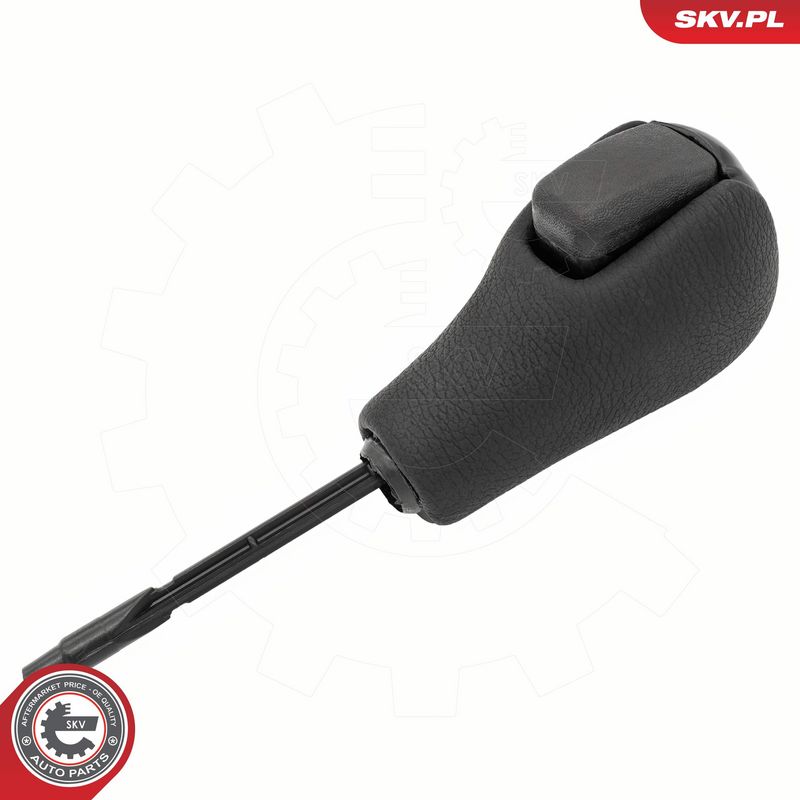 Käigukanginupp, ESEN SKV...