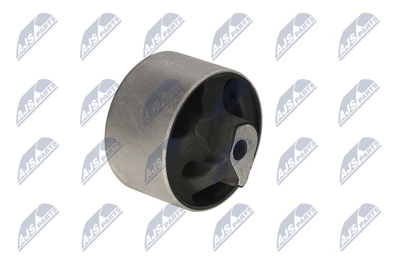 Paigutus, Mootor, NTY ZPS-CH-040