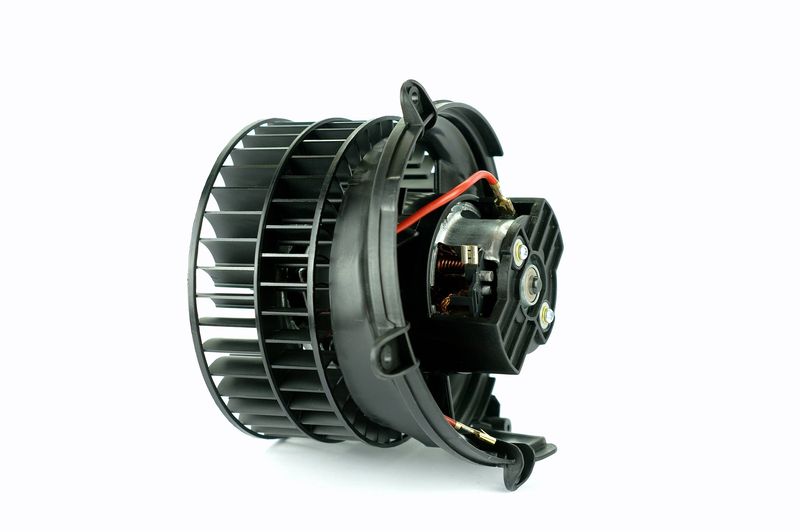 Salongipuhur, NISSENS 87152