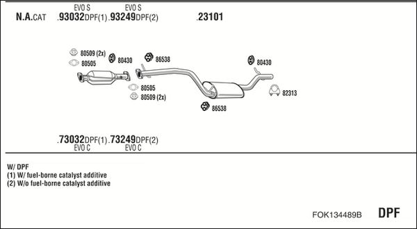 FOK134489B_5231068.JPG