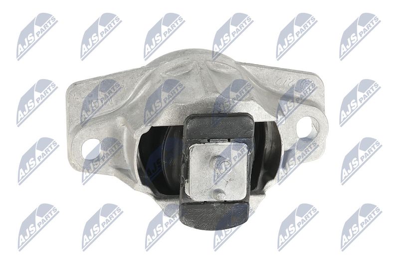 Paigutus, Mootor, NTY ZPS-LR-015