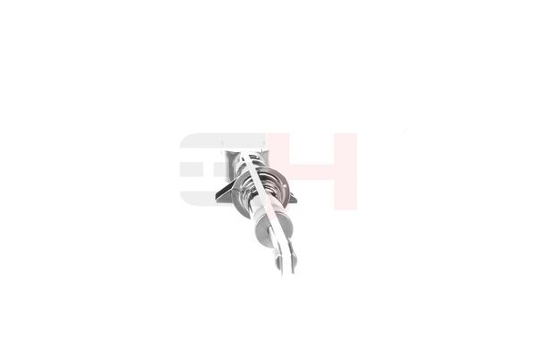 GH GH-334790 Amortizatorius