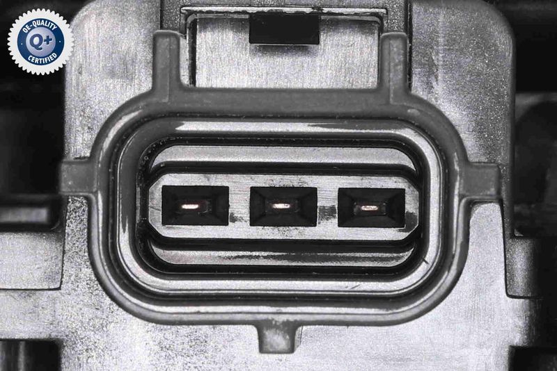 V25-13-50023_03.JPG