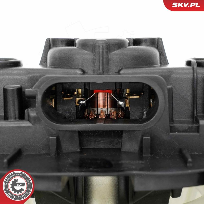 Salongipuhur, ESEN SKV...