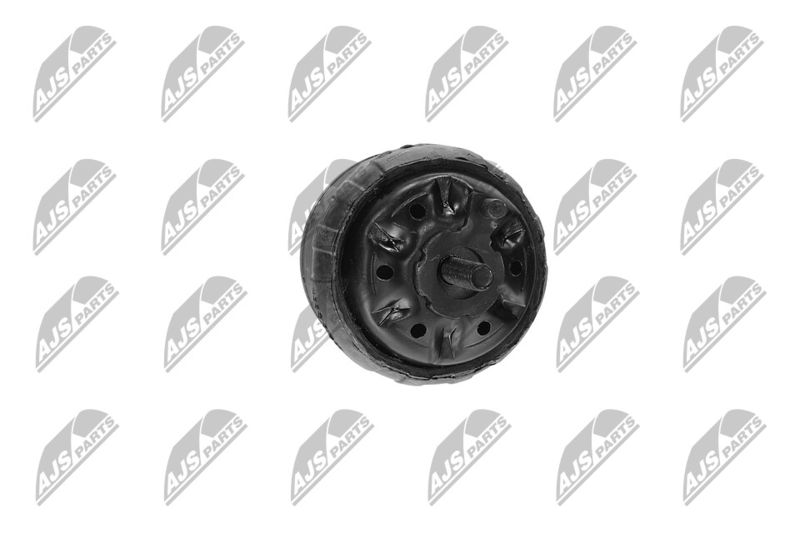 Paigutus, Mootor, NTY ZPS-CH-139