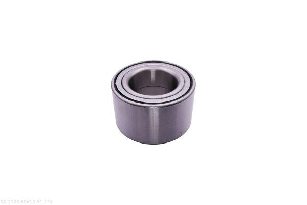 AUTOMEGA 110032810 Wheel Bearing