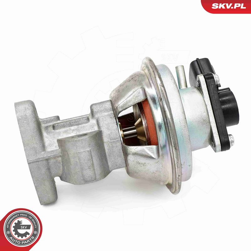 ESEN SKV 14SKV262 EGR Valve