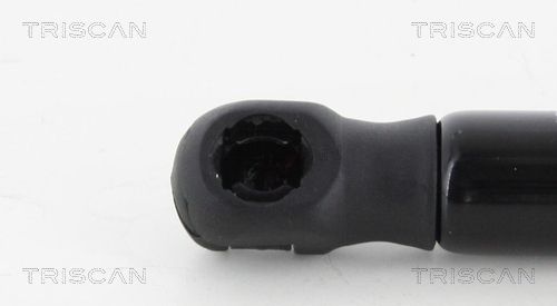 TRISCAN 8710 42241 Gas Spring, boot/cargo area