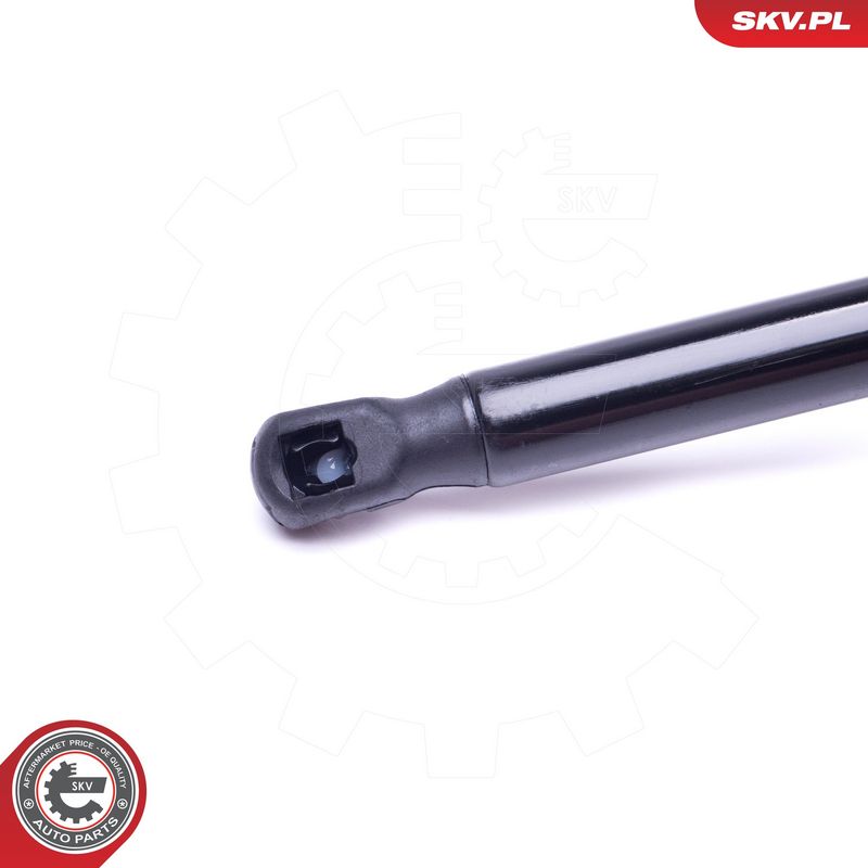 Gaasivedru, pagasi-, veoruum, ESEN SKV 52SKV421