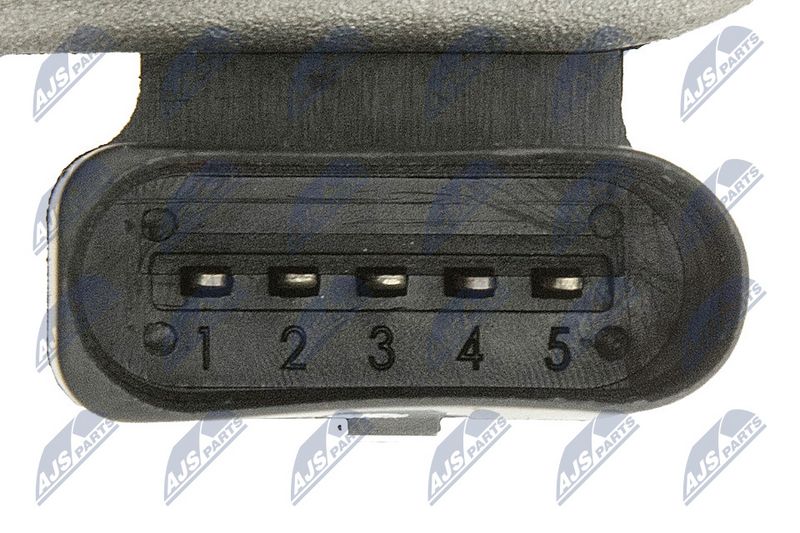 egr-vw-055_6-wm.JPG