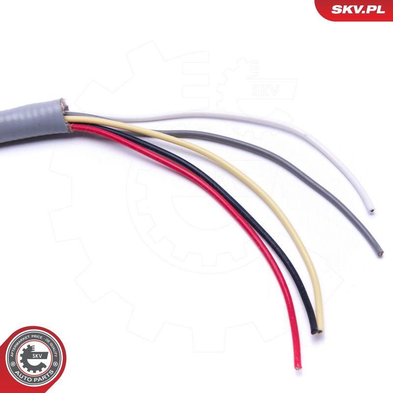 Lambda andur, ESEN SKV 09SKV915