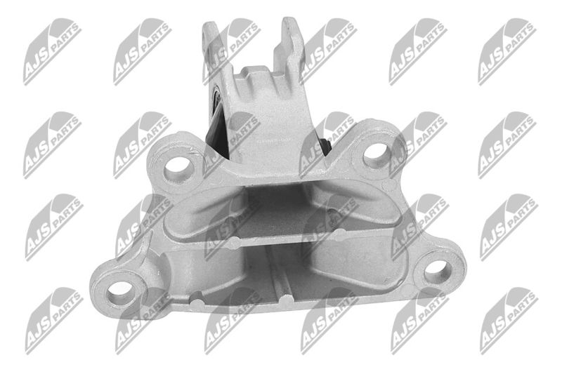Paigutus, Mootor, NTY ZPS-MS-030