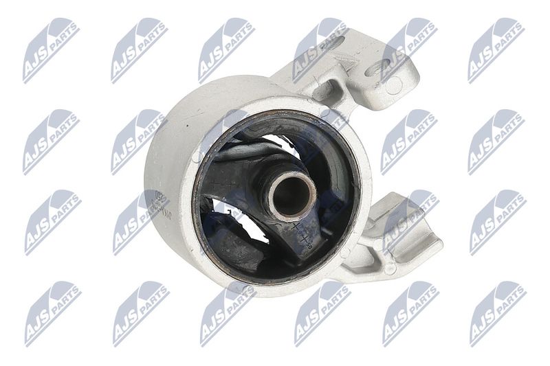 Paigutus, Mootor, NTY ZPS-KA-318