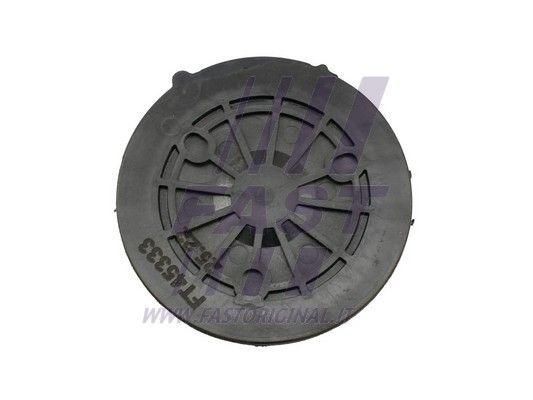 FT45333_1_1.JPG