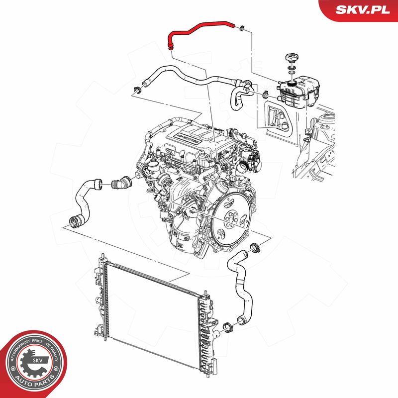 ESEN SKV 54SKV393 Radiator Hose