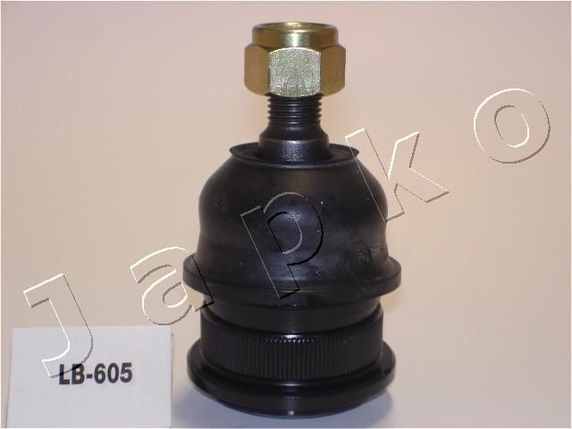 53605_1.JPG