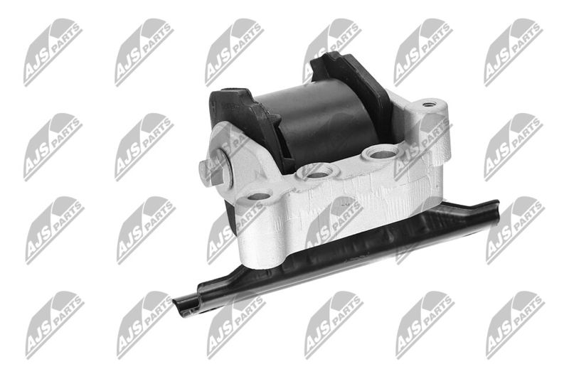 Paigutus, Mootor, NTY ZPS-CH-071