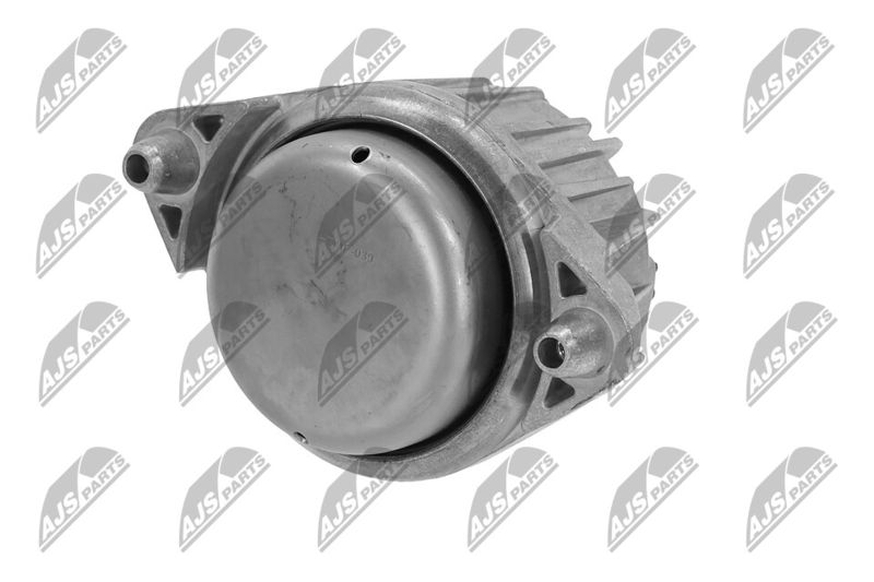 Paigutus, Mootor, NTY ZPS-ME-039