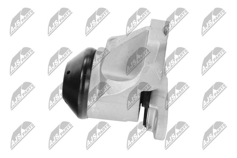 Paigutus, Mootor, NTY ZPS-FR-053