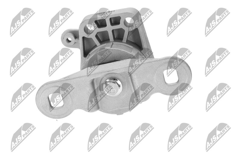 Paigutus, Mootor, NTY ZPS-FR-044