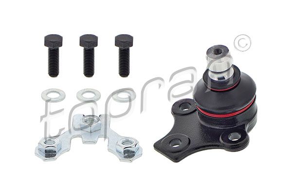 Kande-, juhtliigend, TOPRAN...