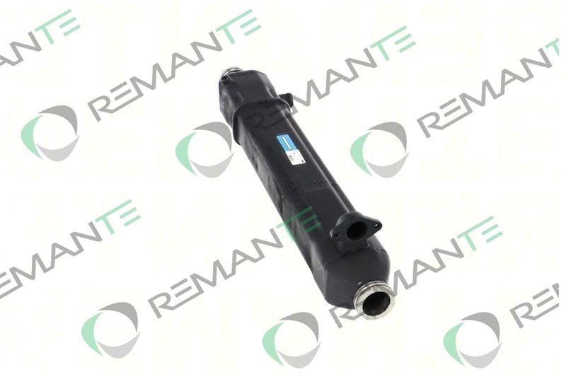 REMANTE 010-001-000024R EGR Module