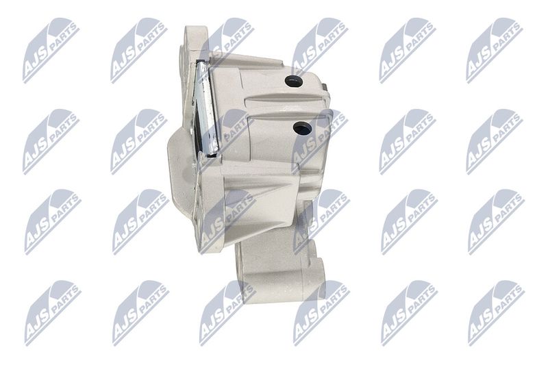 Paigutus, Mootor, NTY ZPS-CH-133